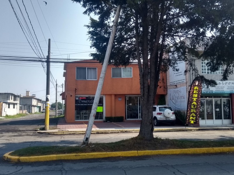 Poste a nada de caer en Metepec