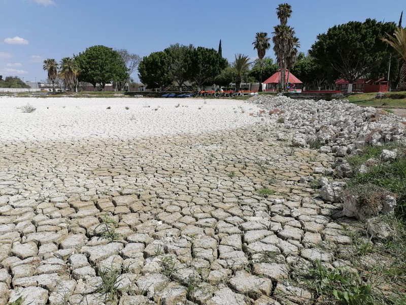 Pozos clandestinos, ocasionan sequía de laguna artificial en San Lorenzo