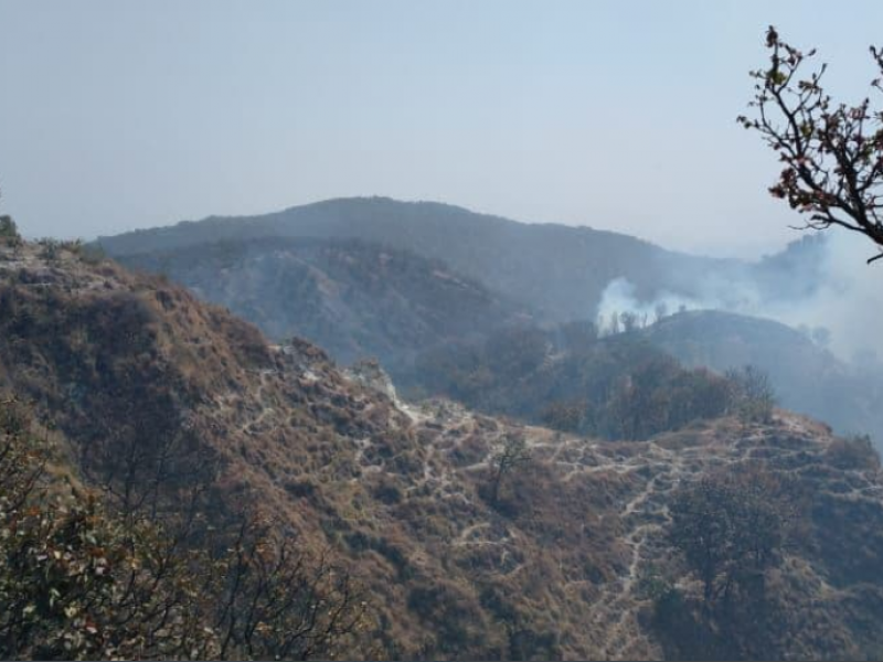 ¡Precaución! Se reporta incendio en La Primavera, activan alerta atmosférica