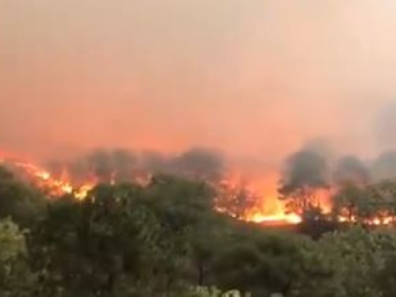 Reportan otro incendio... ahora en La Primavera