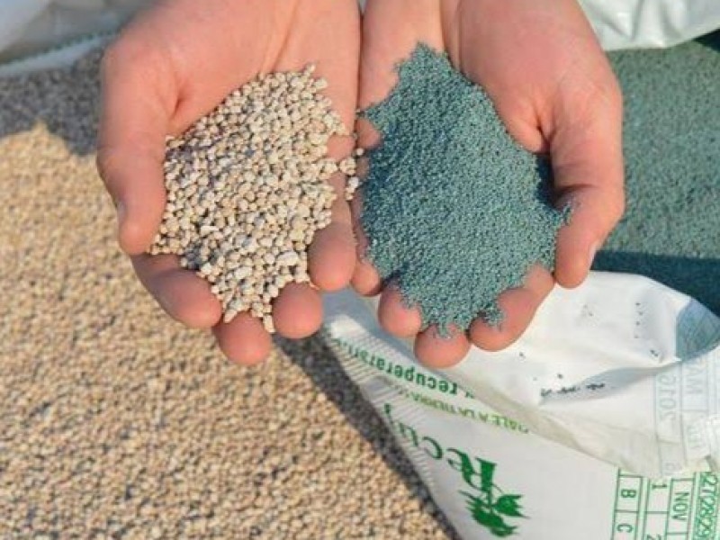 Precio de fertilizantes podría incrementar por conflicto Rusia - Ucrania