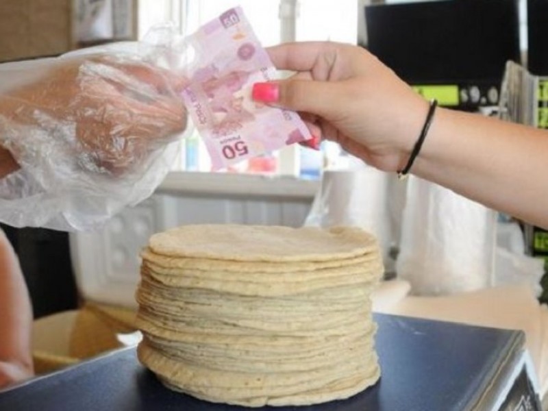 Precio de la tortilla a la alza