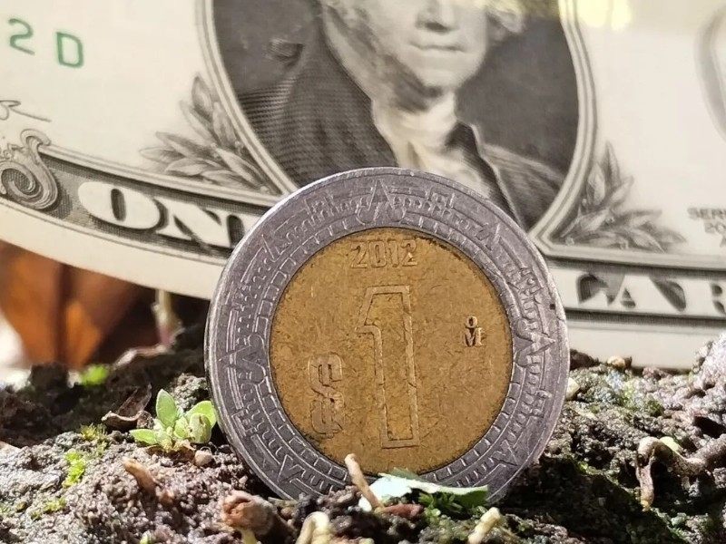 Precio del dólar este 5 de junio en México: 19.19