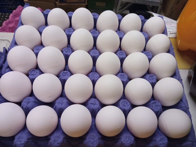 Precio del huevo no para de subir, aumentó 5 pesos