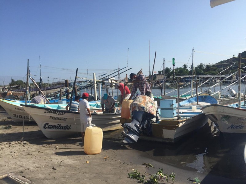 Precios de exportación no mejoran para sector pesquero