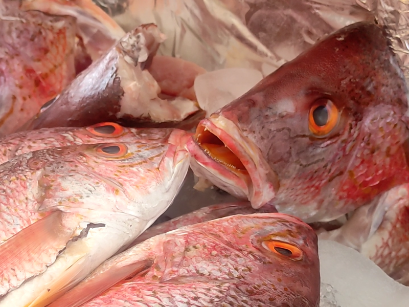 Precios del pescado y mariscos para Semana Santa