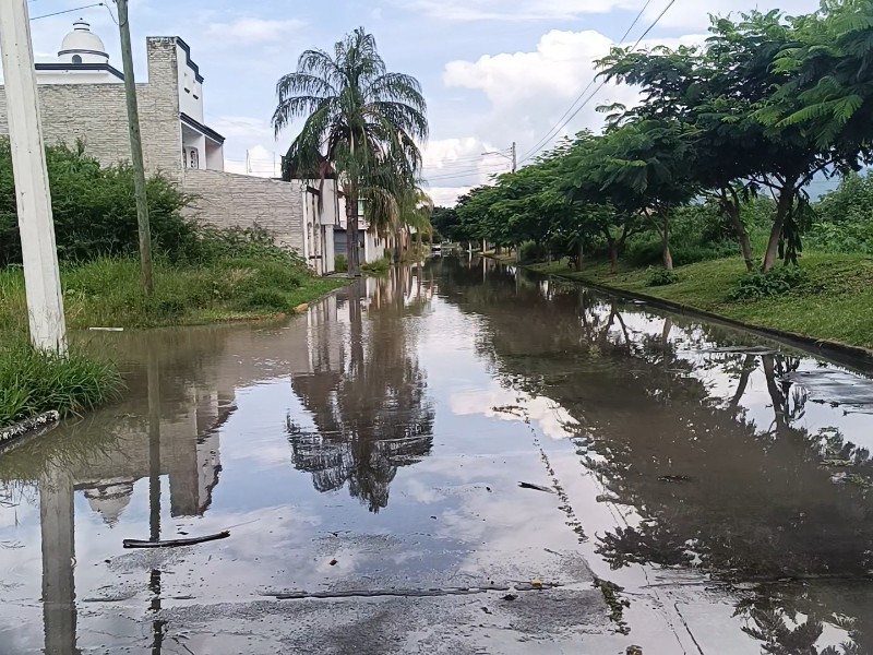 Precipitaciones pluviales en Zamora de las más grandes en décadas