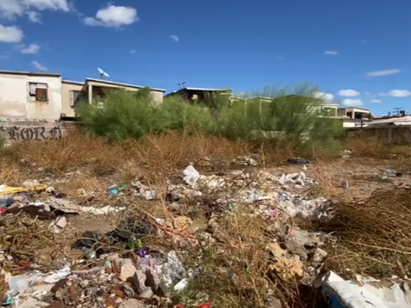 Predios sucios junto a escuela podrían generar multa de 40 mil pesos