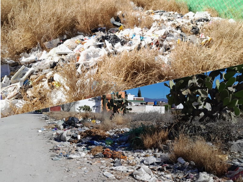 Predios zona alta se convierten en tiraderos de basura