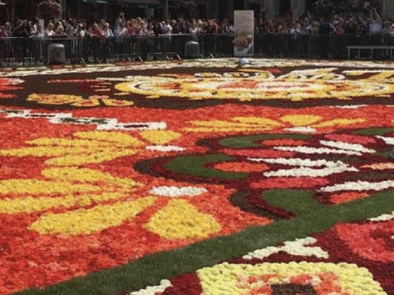 Premian alfombra de flores de Uriangato