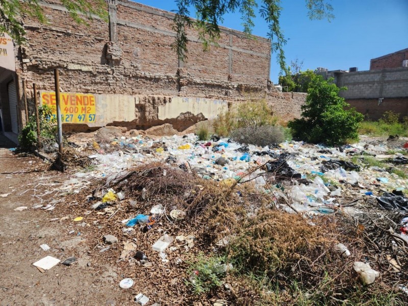 Preocupa a autoridades aumento de basura en espacios públicos