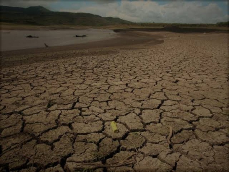 Preocupa a productores a sequía y falta de acción de gobierno