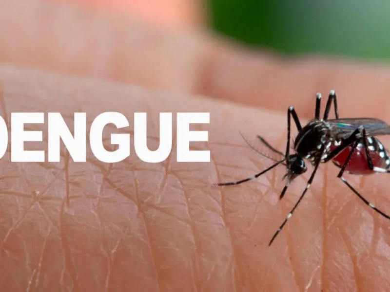 preocupa el incremento de casos de dengue en Ciudad Obregón