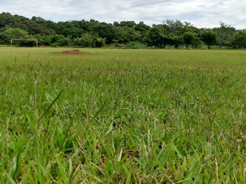 Preocupa estado de canchas deportivas en Bellavista