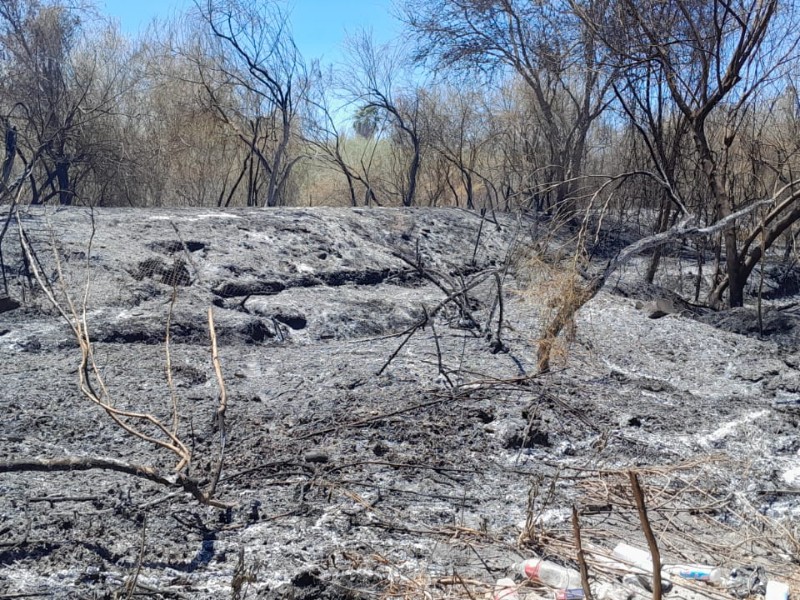 Preocupa incremento de incendios forestales y de maleza en Navojoa