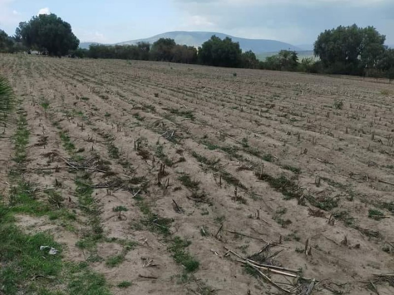 Preocupa sequía a pobladores del municipio de Acajete