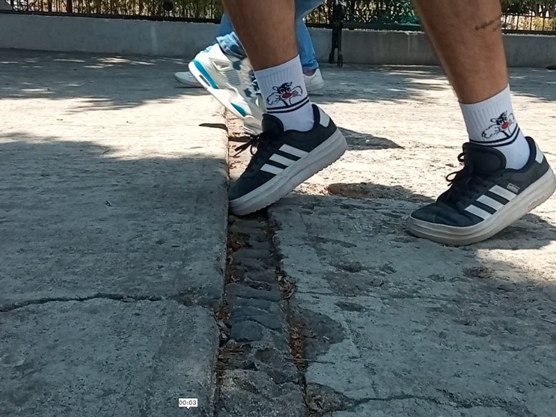 Preocupación en Valtierrilla por el avanzado deterioro del jardín principal