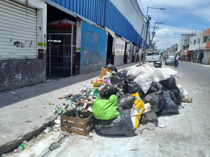 Preocupan enfermedades por contaminación (basura), 