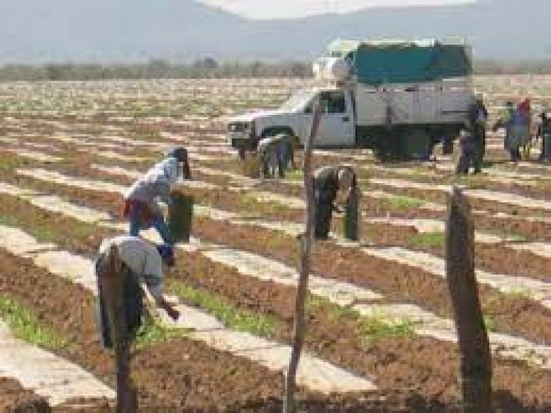 Preocupan siembras en zona de presa por falta de agua