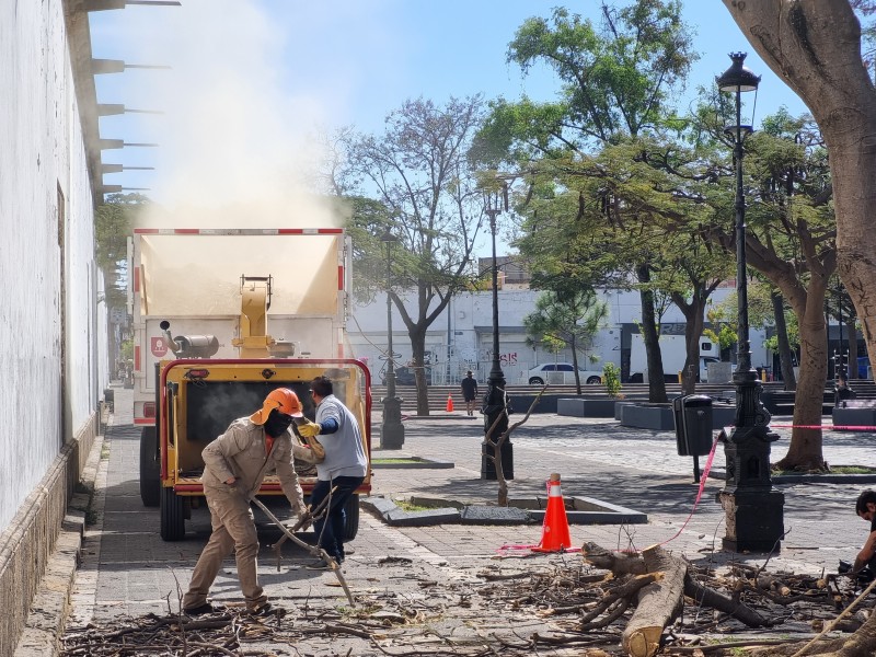 Prepara Guadalajara intervención en Calzada Independencia