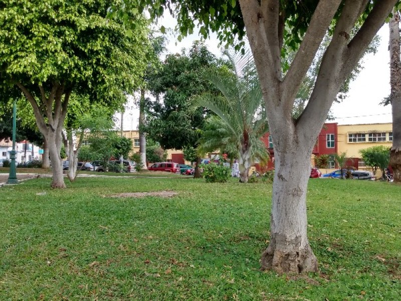 Prepara parques y jardines programa para 2020