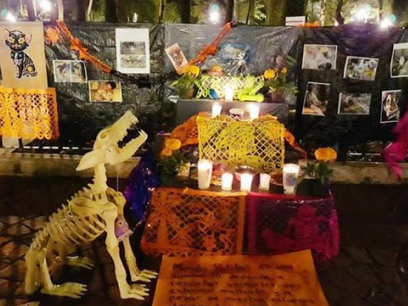 Preparan altar en honor a mascotas que fallecieron
