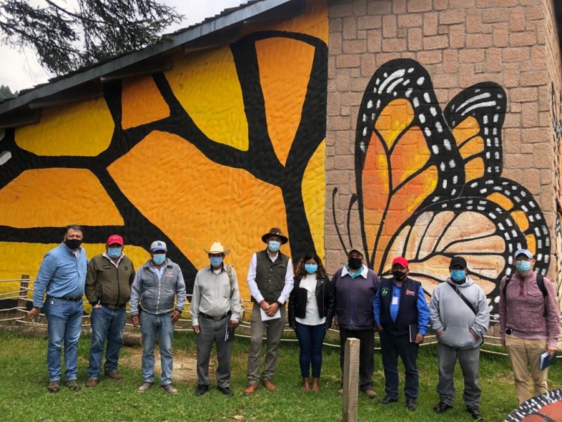 Preparan apertura de Santuarios de la Mariposa Monarca