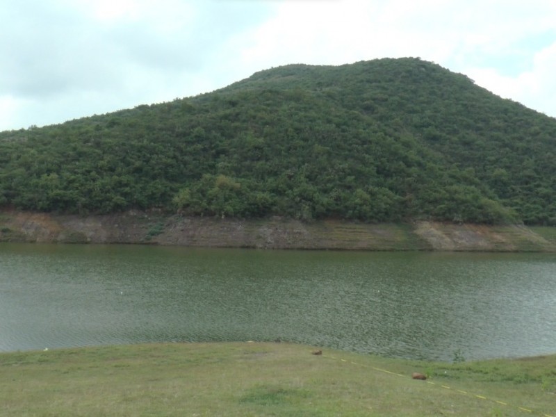 Preparan apoyos para el campo por la falta de lluvias