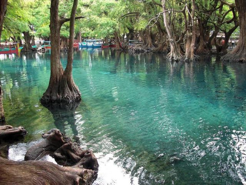 Preparan Encuentro Estatal de Poetas en el Lago de Camécuaro