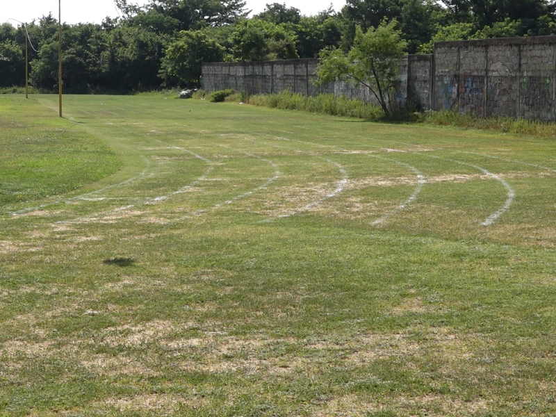 Preparan evento de atletismo en busca de nuevos talentos