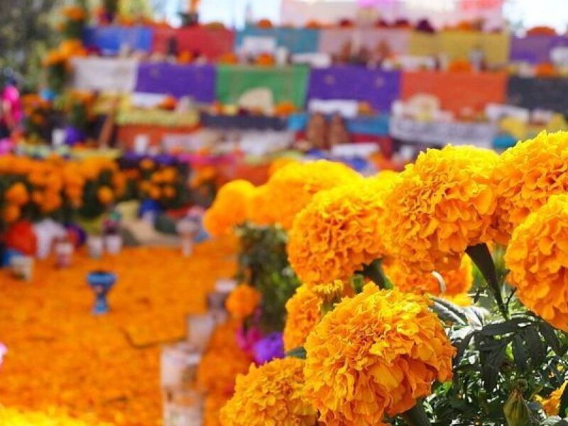 Preparan eventos alusivos al Día de Muertos