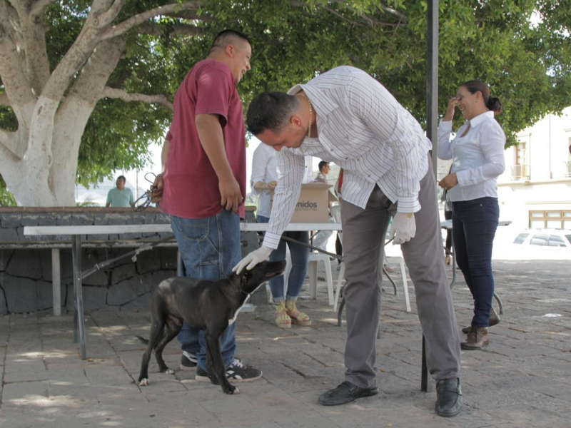 Preparan jornada de vacunación a mascotas