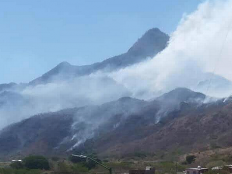 Preparan plan de reforestación del cerro Nambiyuguá