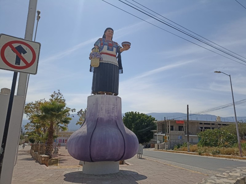 Preparan tercera carrera del ajo en Chilac