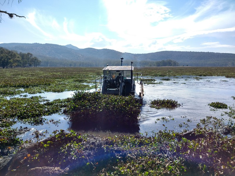 Presa de Cointzio contaminada un 40%