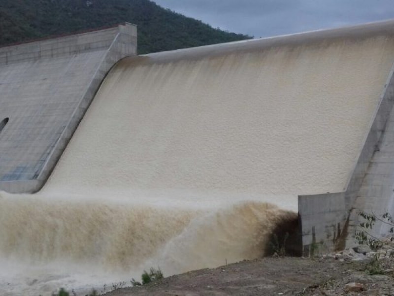 Presa la palma en límite de agua.