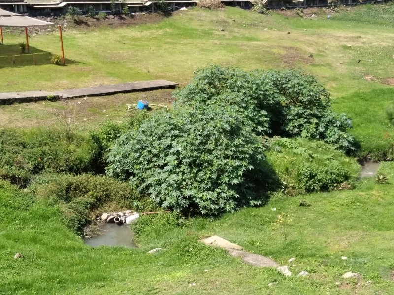 Presa Valle de Bravo en crisis por contaminación