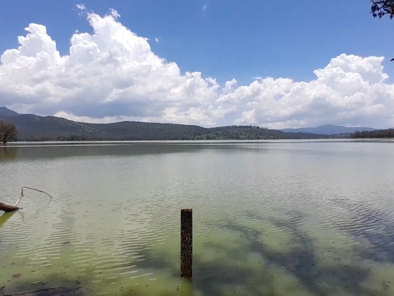 Presas de Michoacán al límite por azolve y riesgo de inundaciones