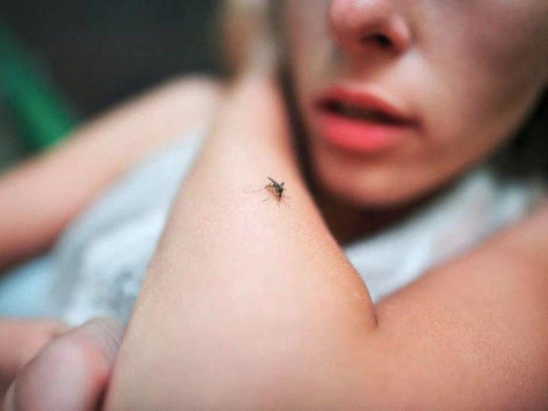 Presenta Chiapas reducción de casos de paludismo