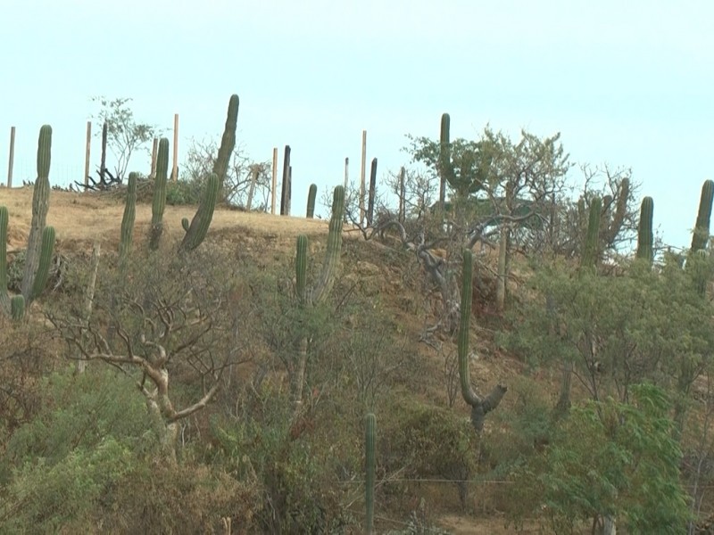 Presentan denuncian ante supuesta invasión en Chulavista