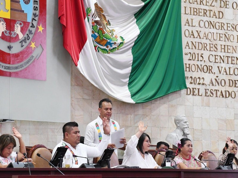 Presentan iniciativa para sancionar a quien ocasione incendios forestales