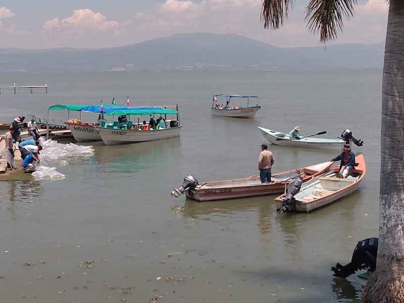 Presentan reactivación para rivera de Chapala