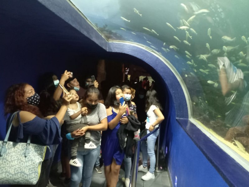 Presentará plan integral de promoción turística del Aquarium