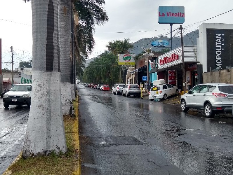 Presentarán 5 propuestas para remodelación de av Jacarandas