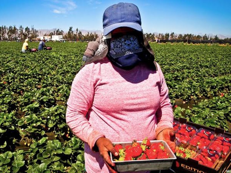 Presentarán exposición fotográfica sobre el trabajo de mujeres jornaleras