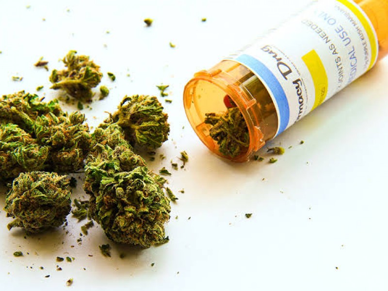 Presionan a COFEPRIS, para regular el uso medicinal del cannabis