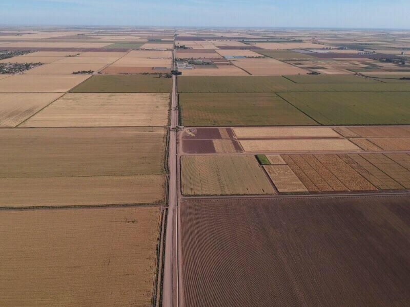 Presupuestan la mitad de lo necesario para el campo mexicano