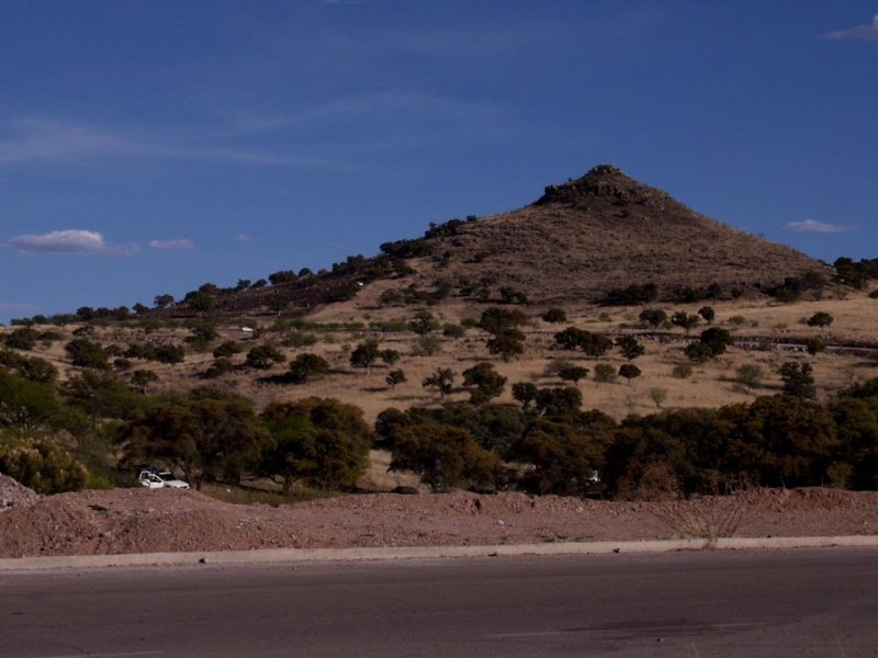 Pretenden preservar 500 hectáreas del Centauro de la Frontera