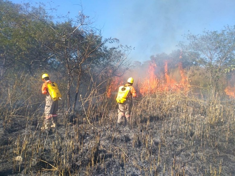 Prevalencia de incendios crece en el Soconusco