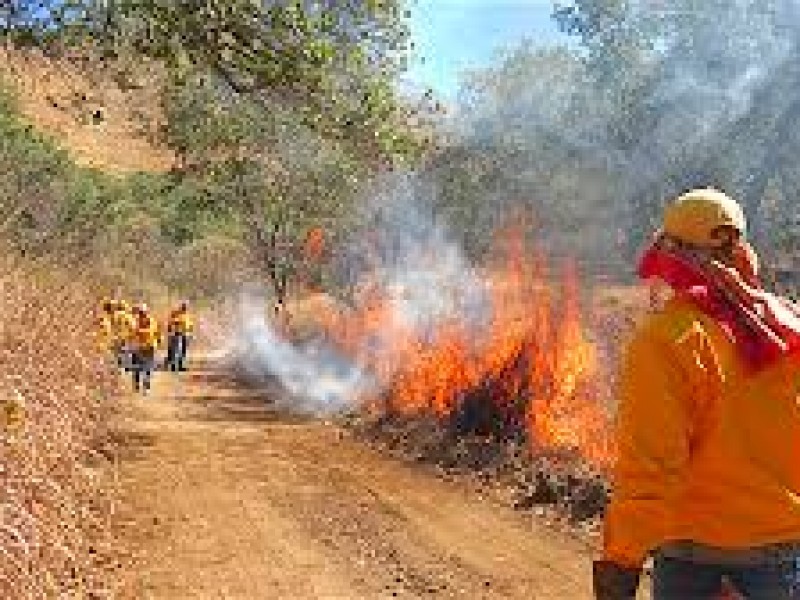 Prevé CONAFOR temporada crítica de incendios por fenómeno La Niña